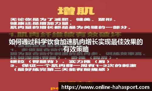 如何通过科学饮食加速肌肉增长实现最佳效果的有效策略