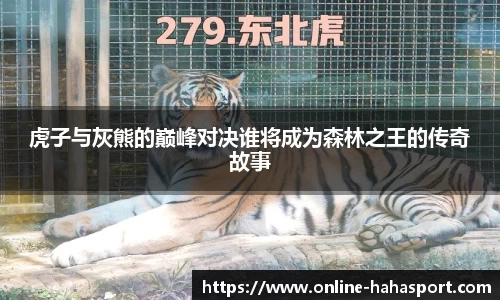 虎子与灰熊的巅峰对决谁将成为森林之王的传奇故事